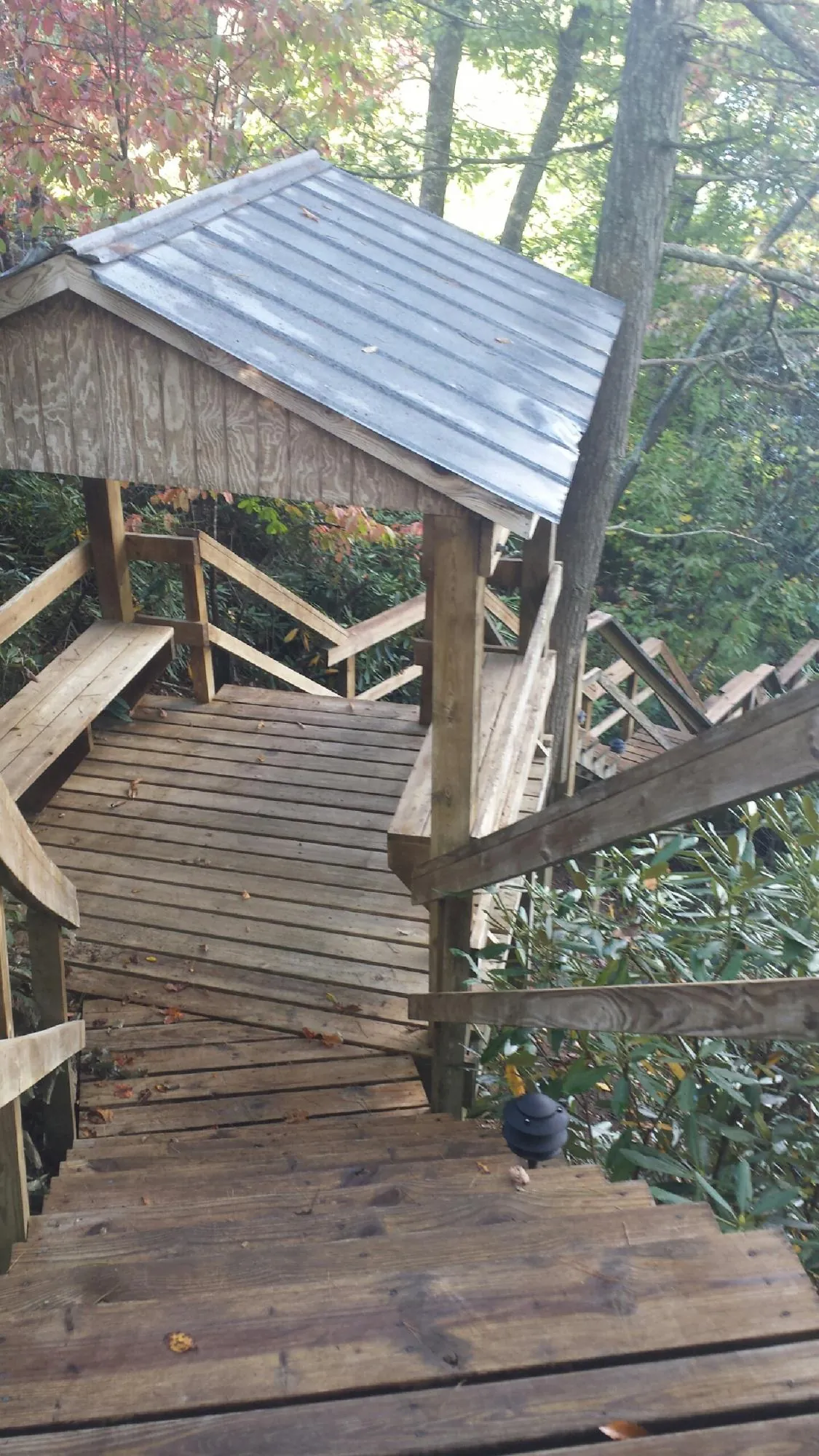 Metal roofed shelter over wooden steps on a wooded walkway — Skylight Repair & Installation work by our crew in Mc Rae Helena